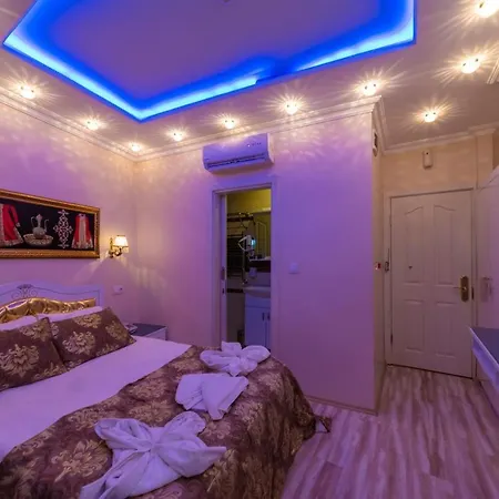 酒店 魅力酒店 3*