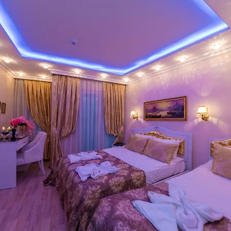 酒店 魅力酒店 3*