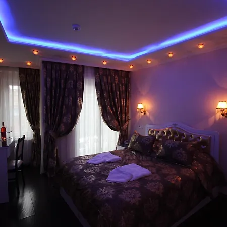 酒店 魅力酒店 3*